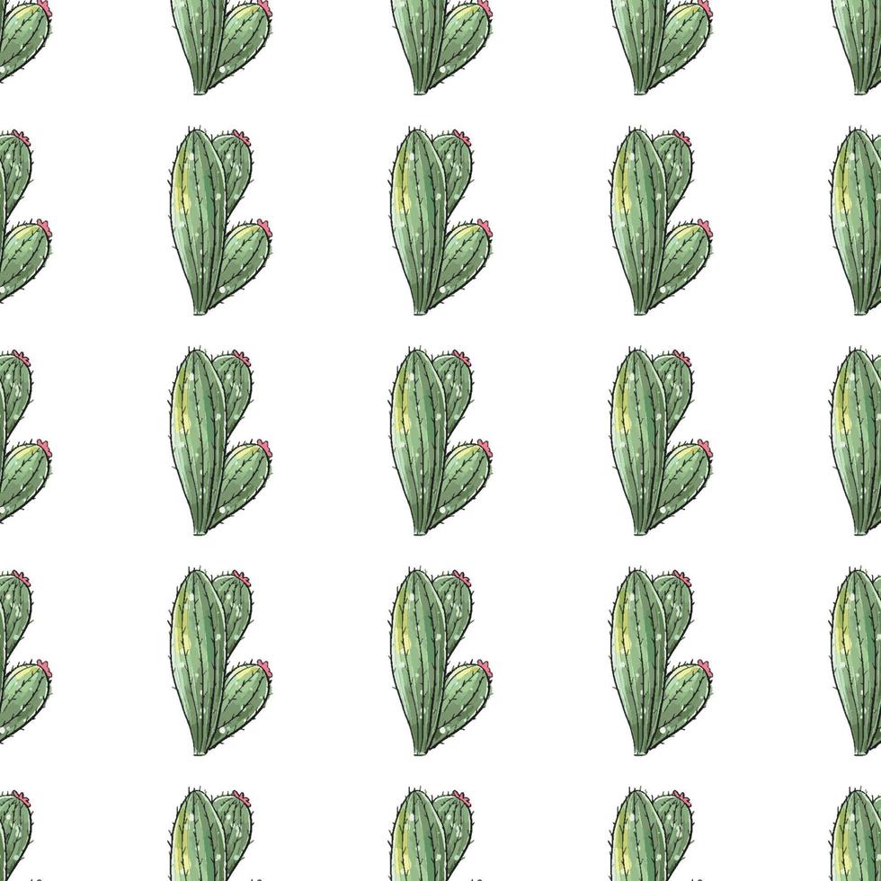 Cactus seamless pattern. vector