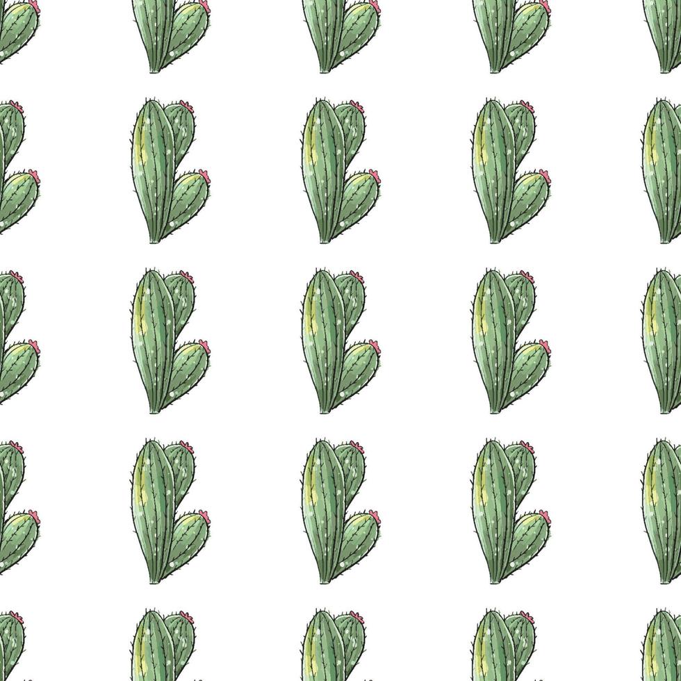 Cactus seamless pattern. vector