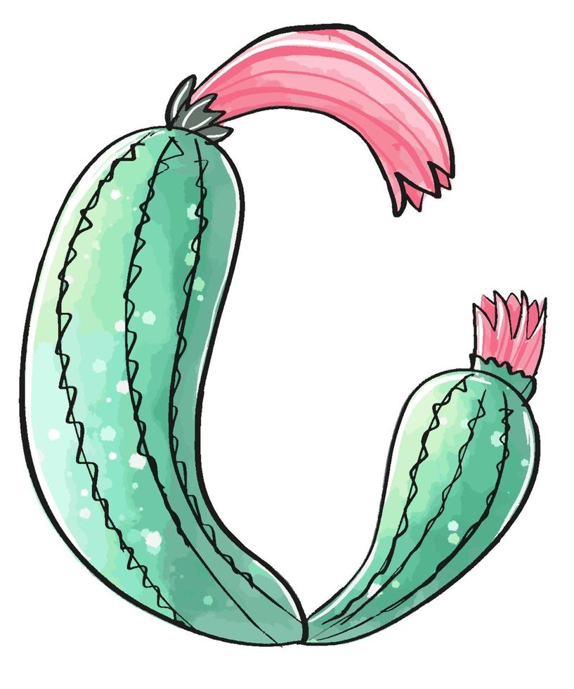 Cactus in a watercolor style isolated on white background. vector