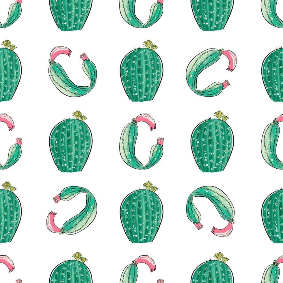 Cactus seamless pattern. vector