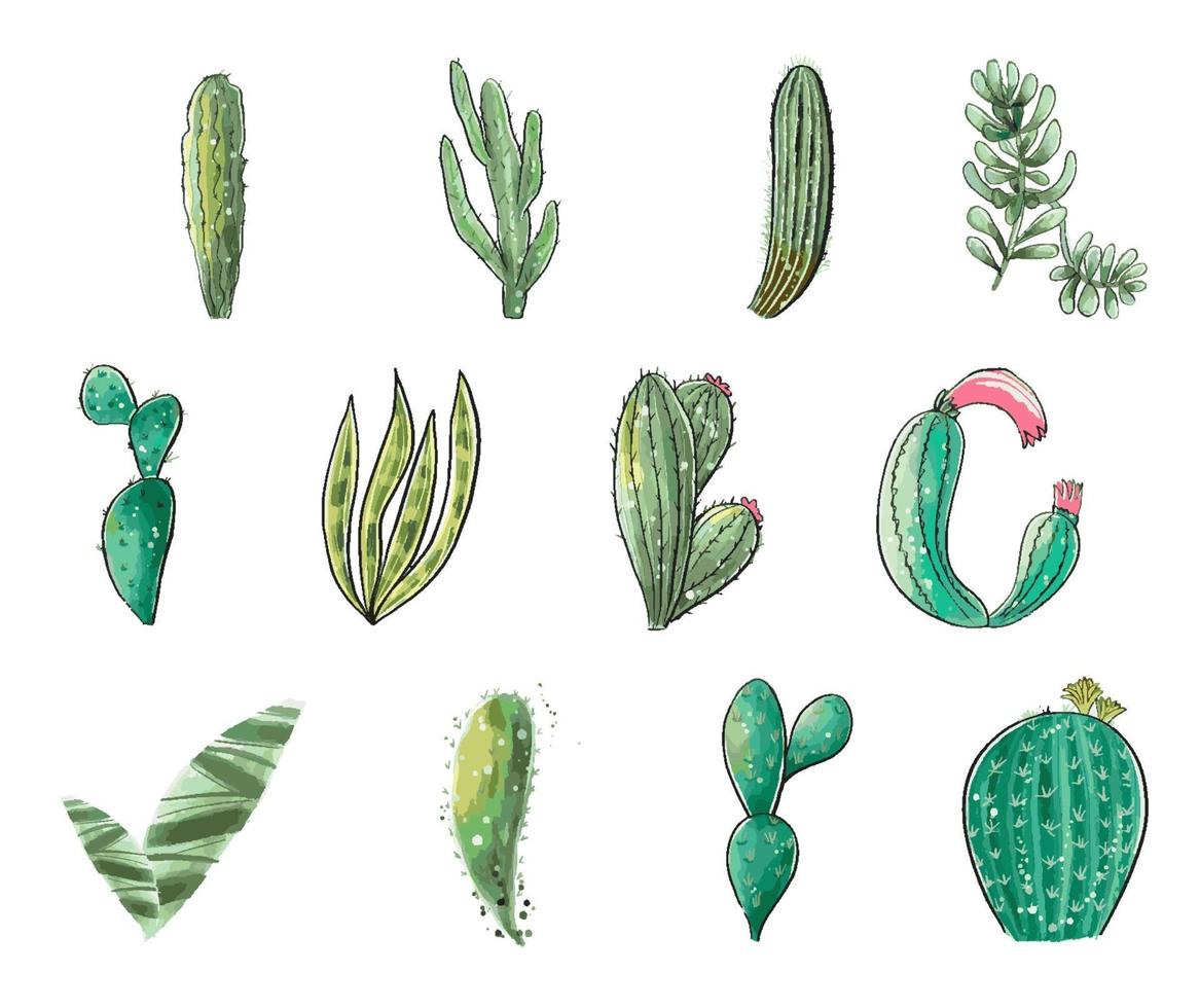 Cactus seamless pattern. vector