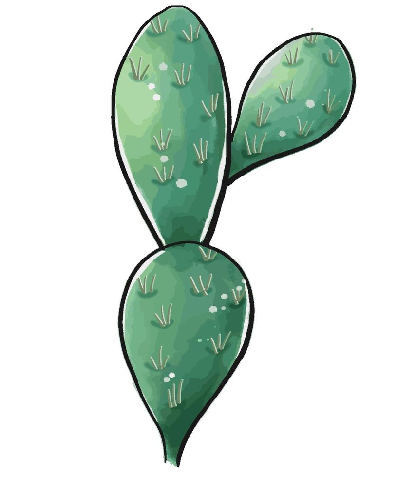 cactus en un estilo acuarela aislado sobre fondo blanco. vector