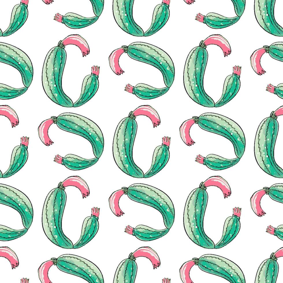 Cactus seamless pattern. vector