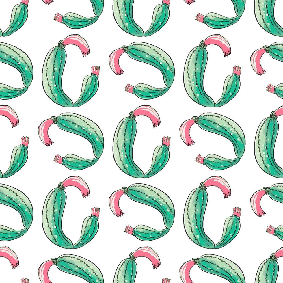 Cactus seamless pattern. vector