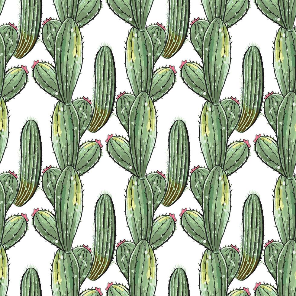 Cactus seamless pattern. vector