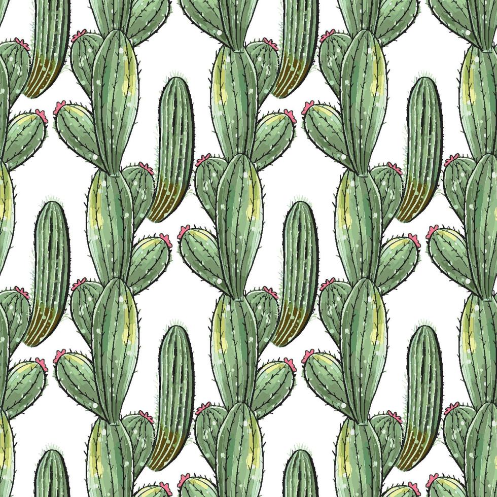 cactus de patrones sin fisuras. vector