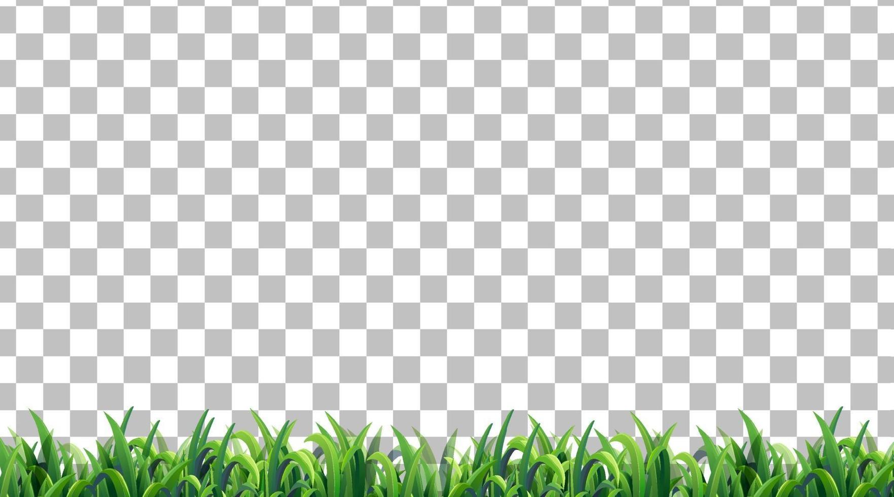 Simple grass field vector