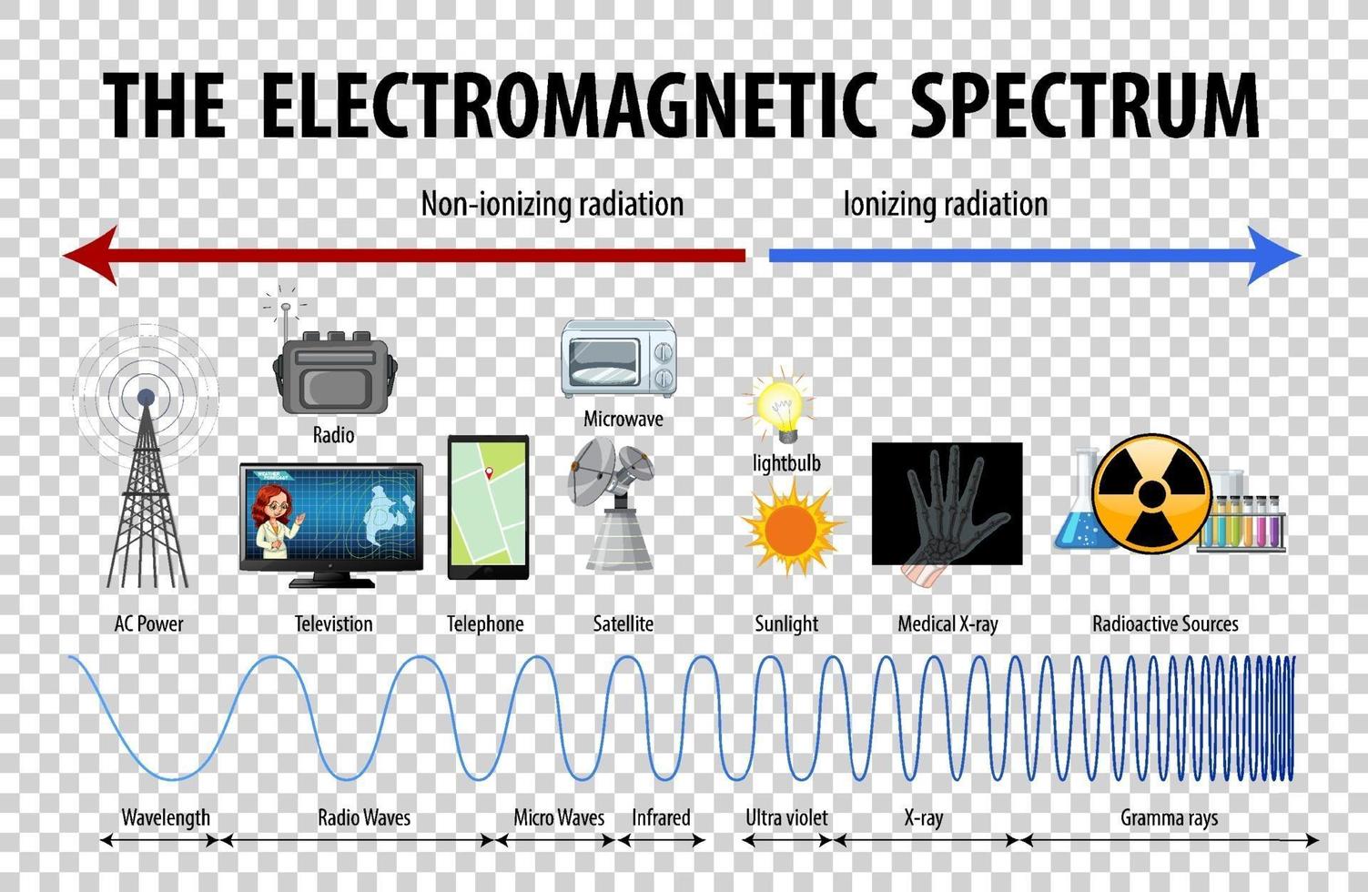 diagrama de espectro electromagnético de ciencia vector