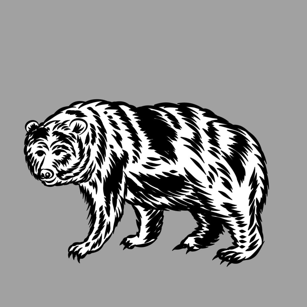 Illustration of grizzly bear vector