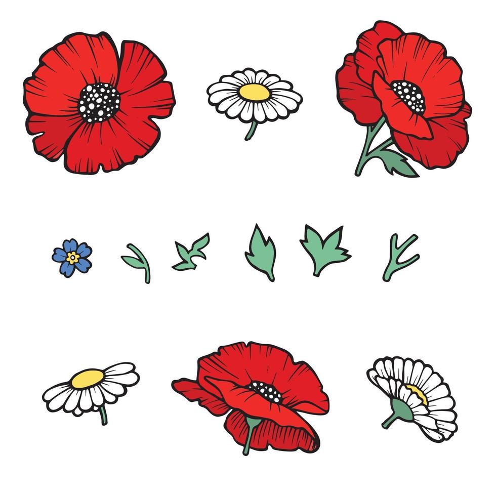 Poppy flower drawn elements. Red poppies isolated on white vector