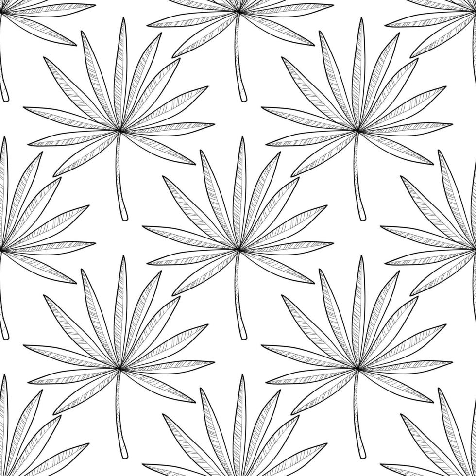 Hand drawn branches and leaves of tropical plants. Monochrome sketch vector
