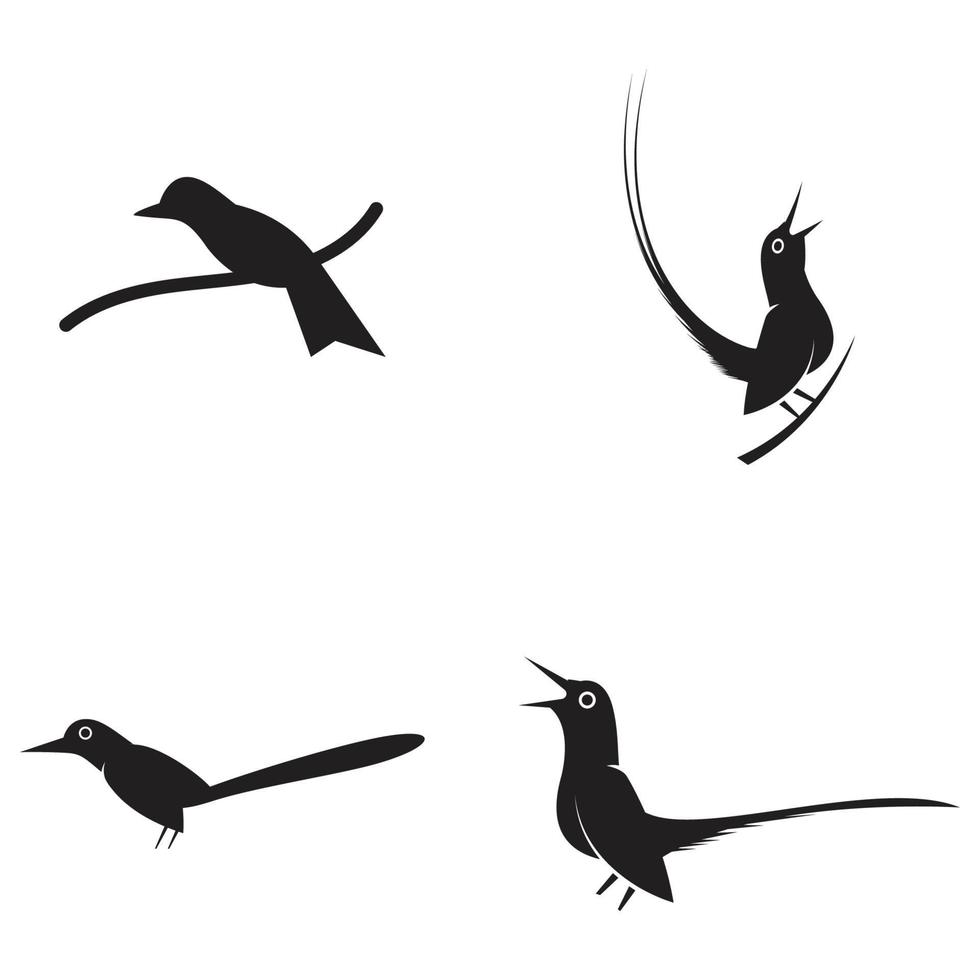 vector de diseño de plantilla de logotipo de pájaro, emblema, concepto de diseño, creativo