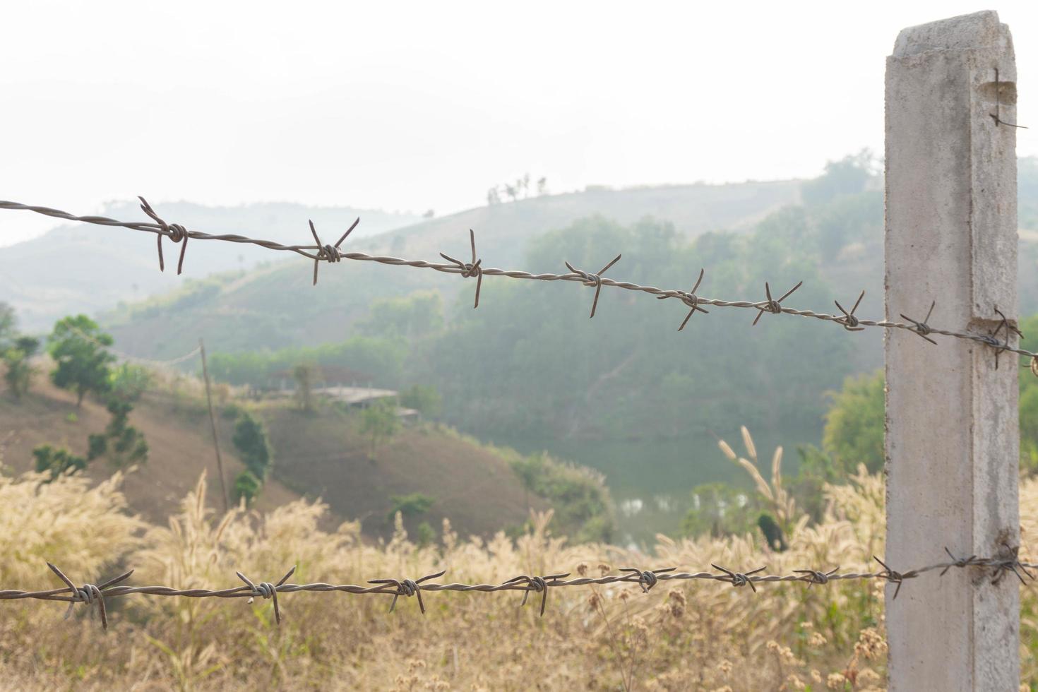 Barbed wire fence with nature background photo