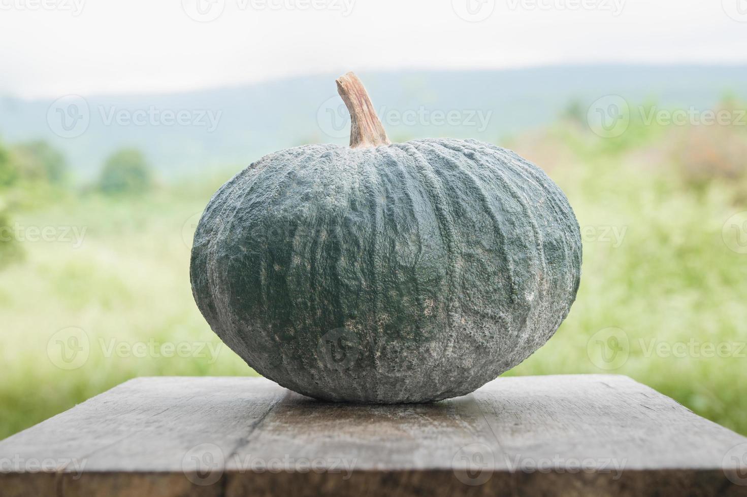 Green pumpkin on wood photo