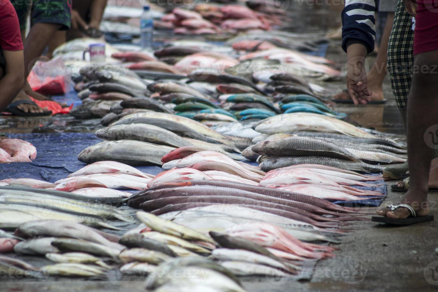 la variedad de mariscos que se venden en el mercado de pescado foto