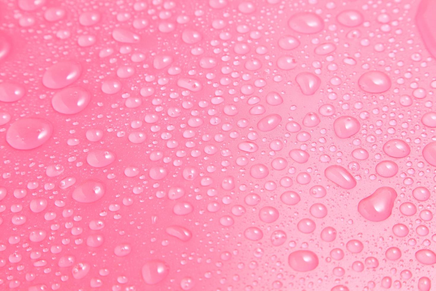 Close up water drops on pink background photo