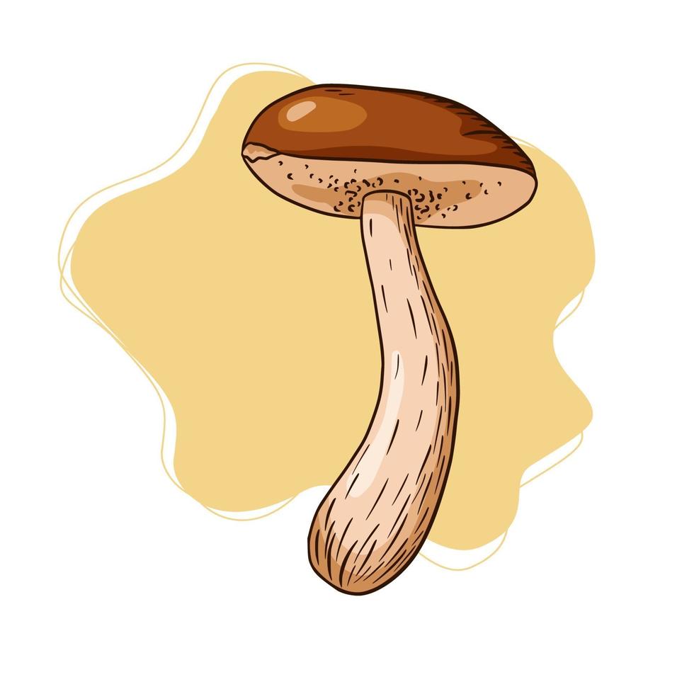 Boletus on Abstract Background Illustration vector