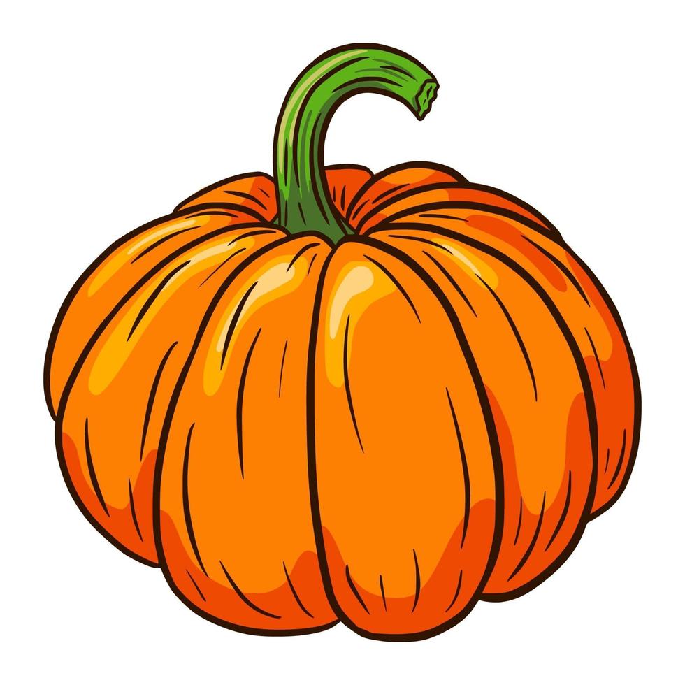 Ilustración de vector de calabaza