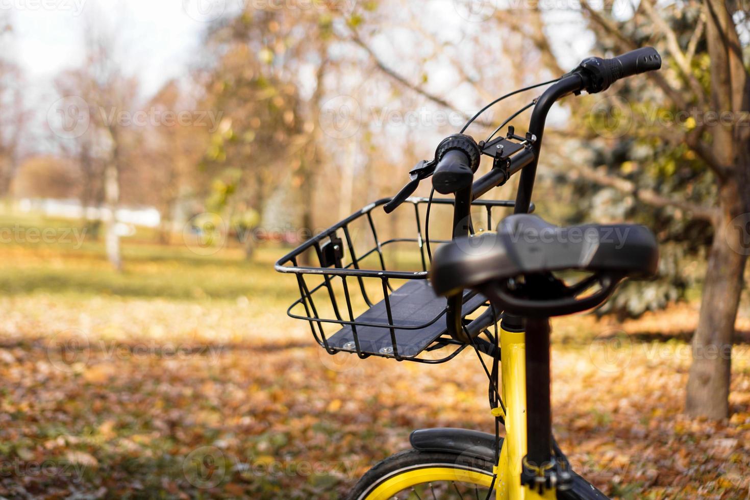 bicicleta amarilla con hojas caídas en el sol poniente. parque de otoño foto