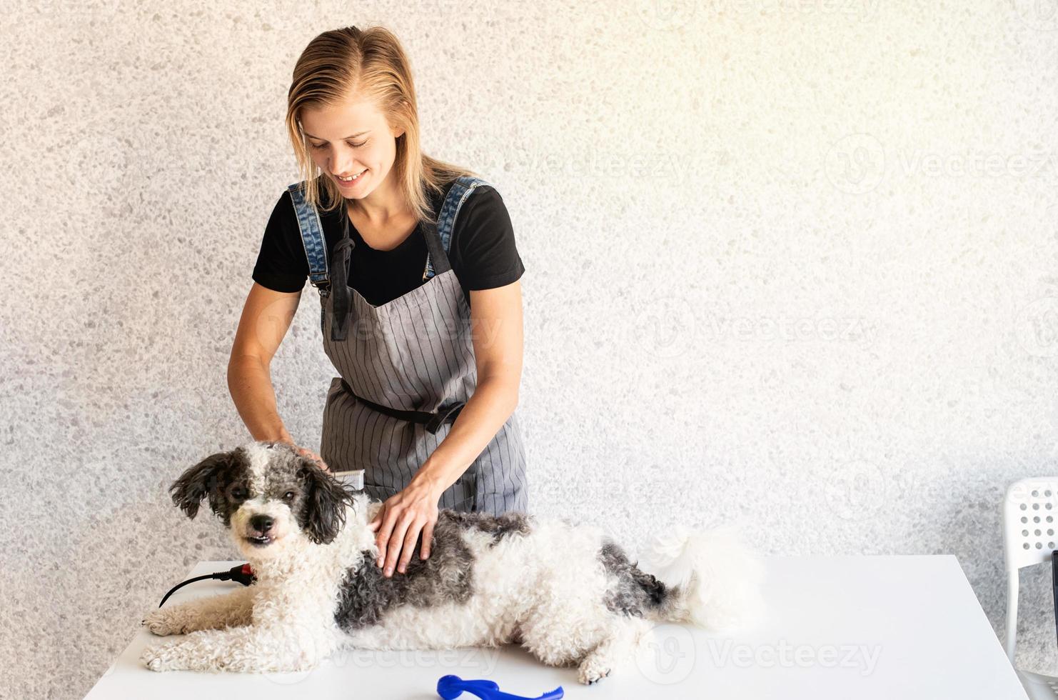 Blonde woman grooming a dog at home photo