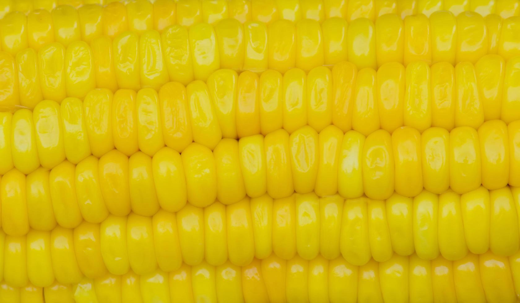 Close-up of corn photo