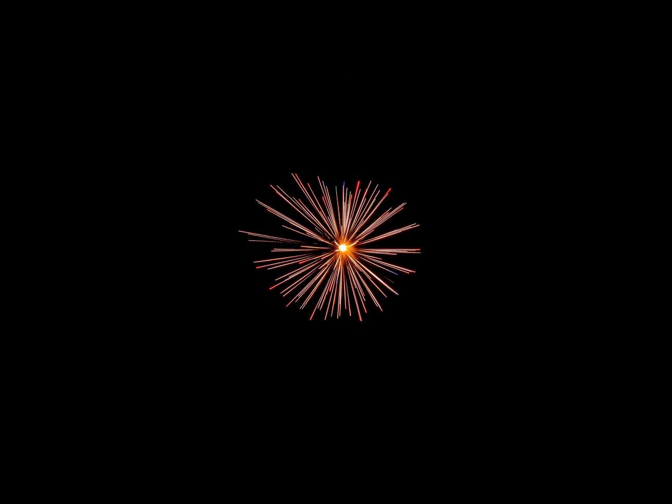 Fireworks in the night sky photo