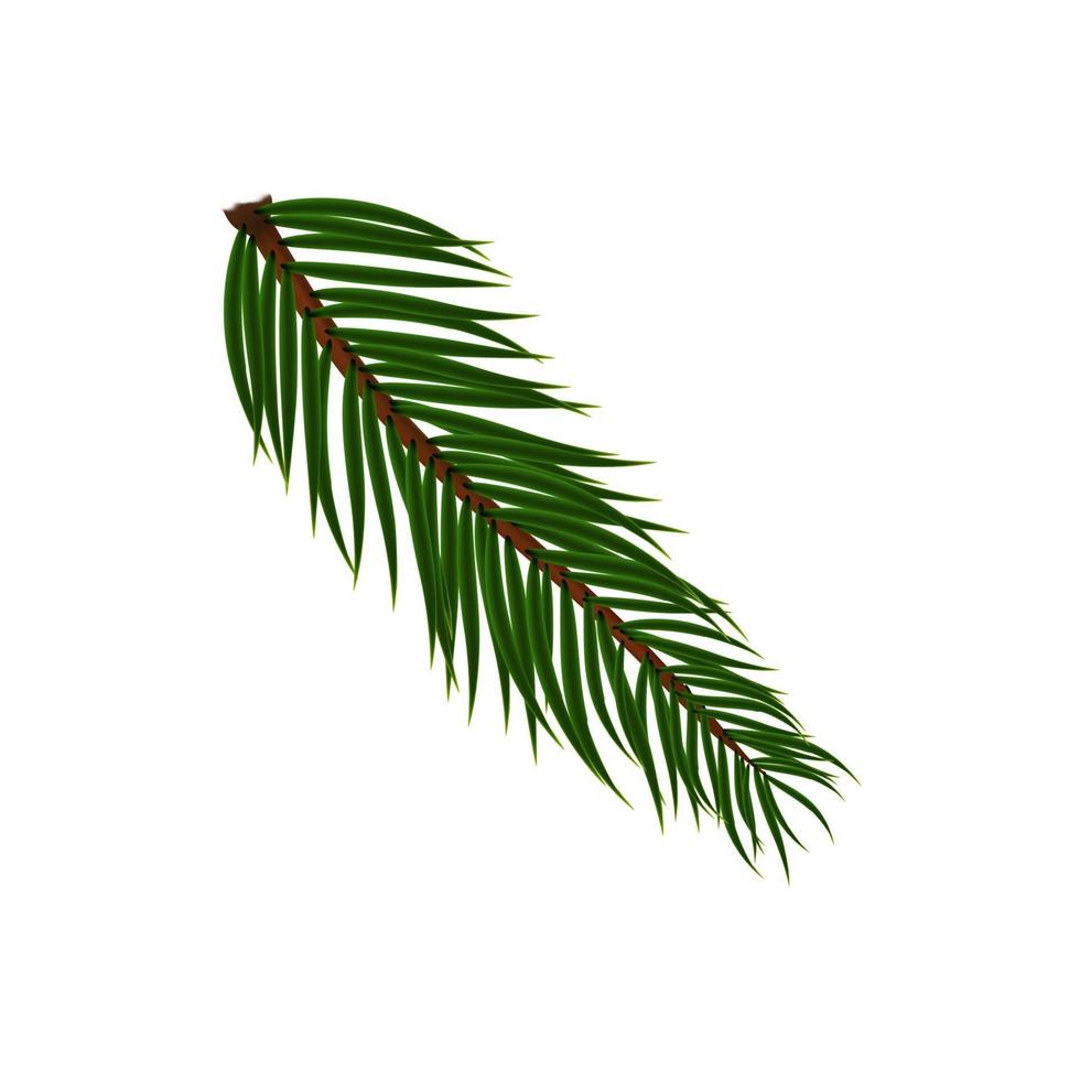 Naturalistic colorful fir branch. Vector Illustration.