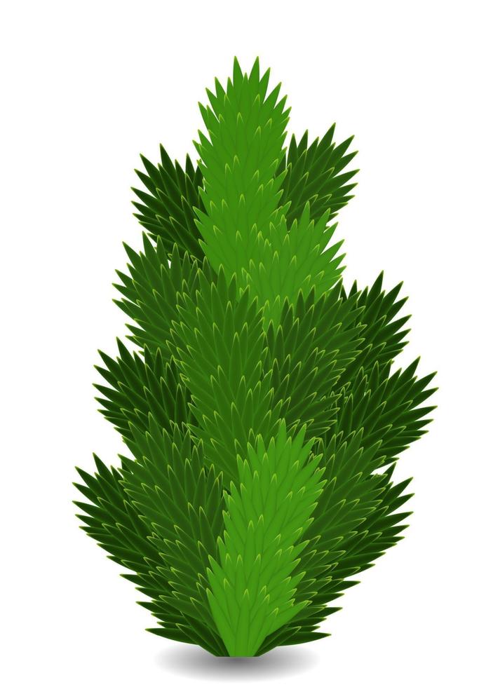 Naturalistic colorful fir branch. Vector Illustration.