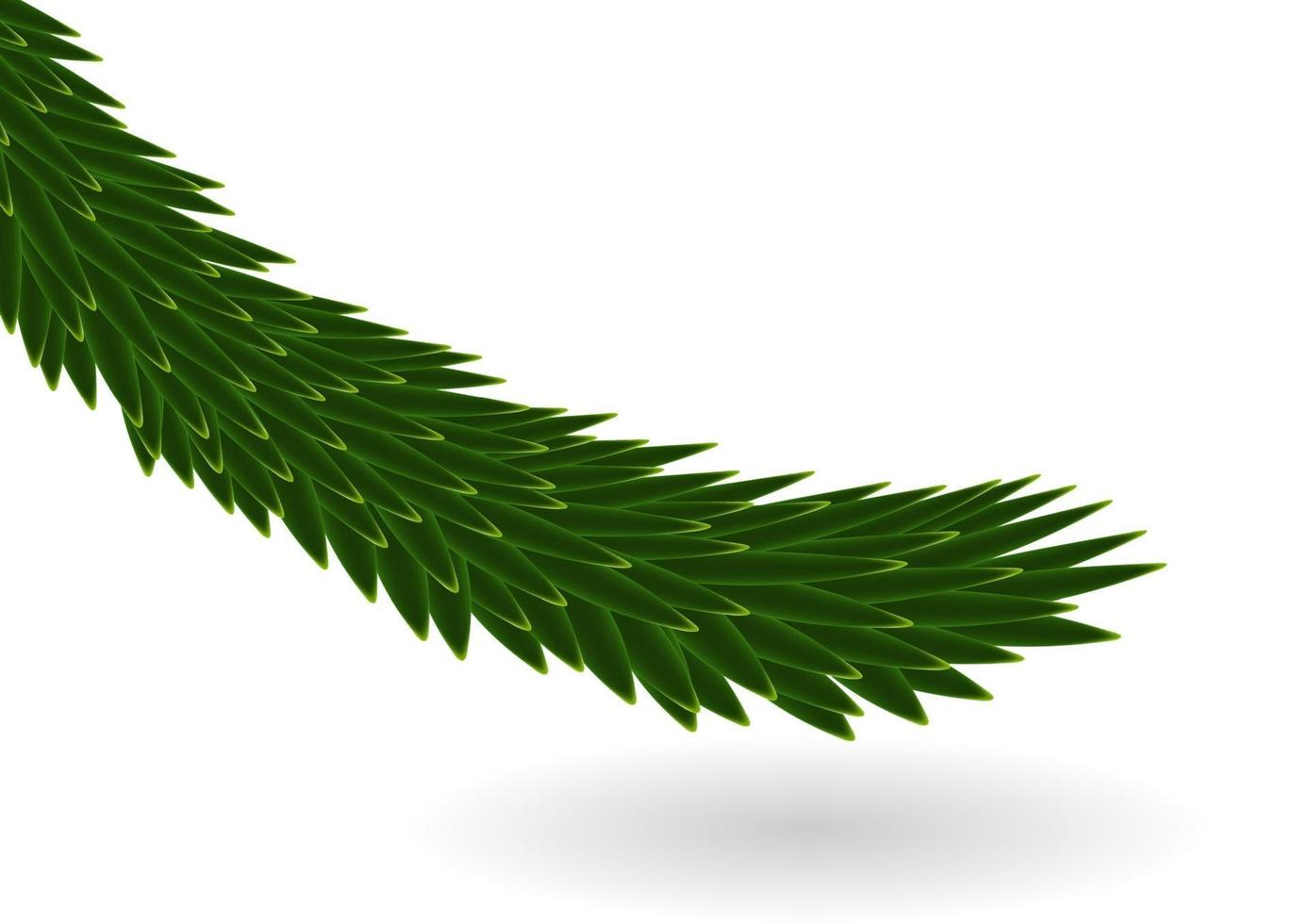 Naturalistic colorful fir branch. Vector Illustration.