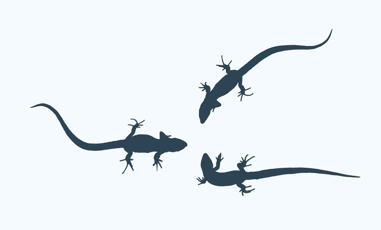 Silhouette of a lizard that creeps. Vector Illustration.