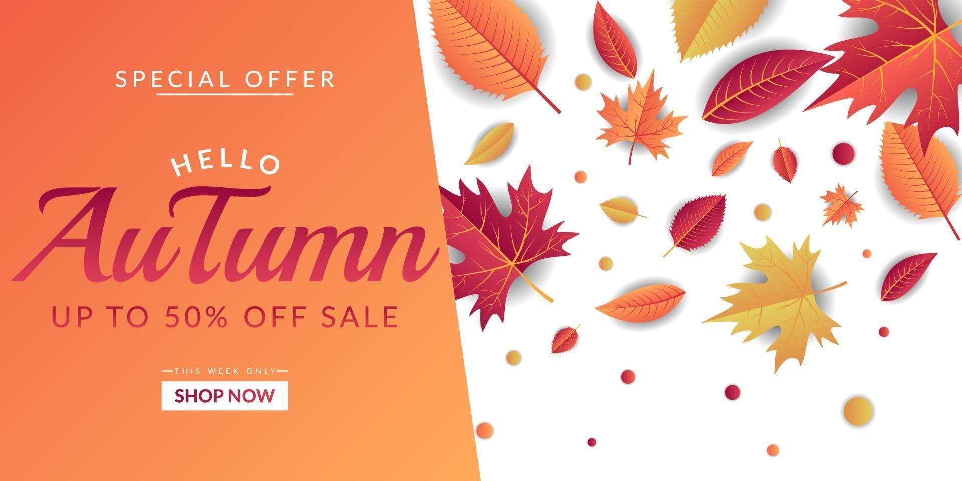 Autumn sale background template design vector