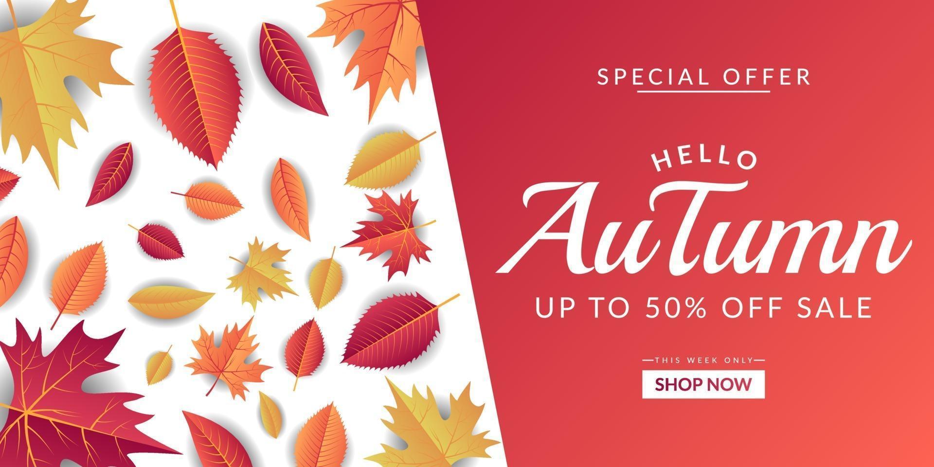Autumn sale background template design vector