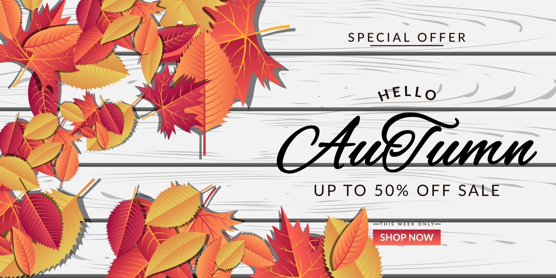 Autumn sale background layout design vector