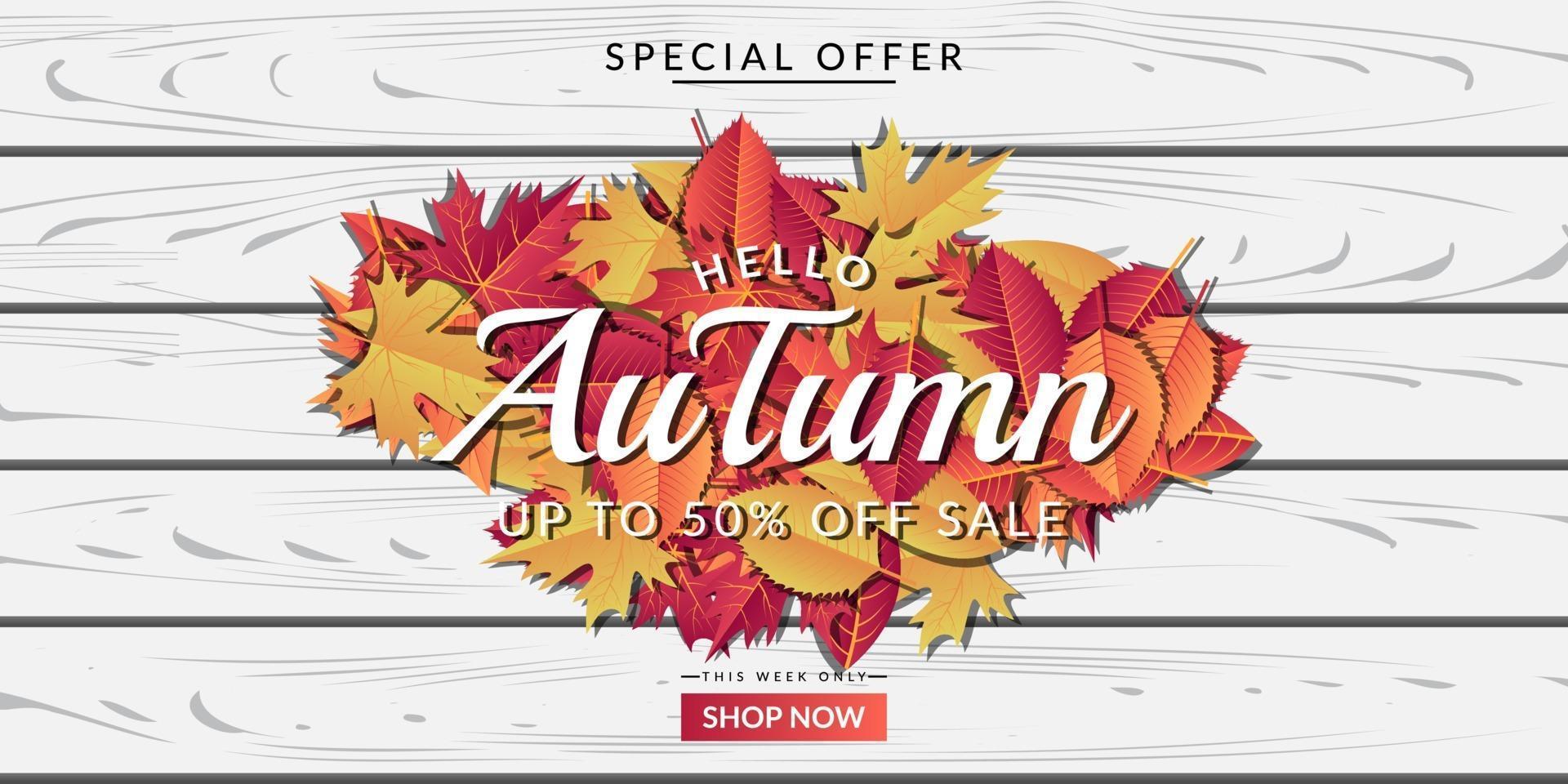 Autumn sale background layout design vector