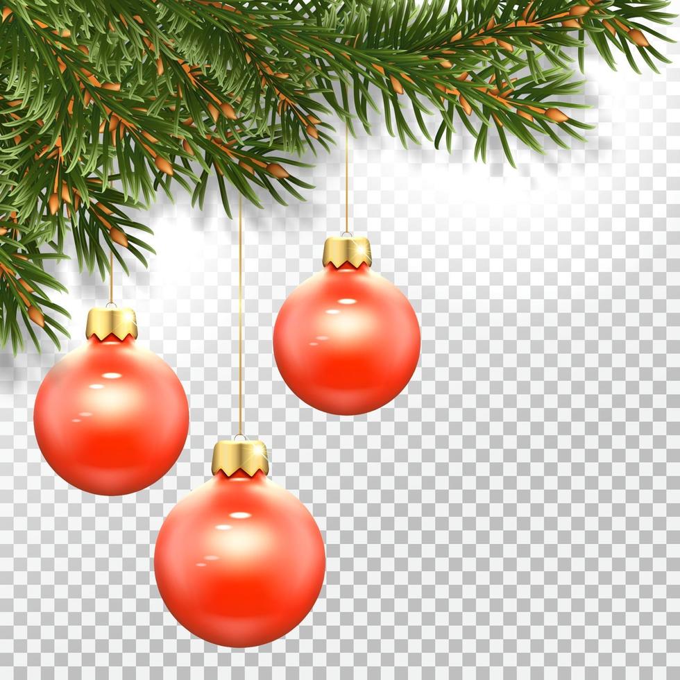 Template  New Year card Christmas tree and a Christmas red balls vector