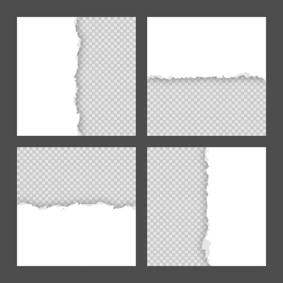 Blank white ripped torn square paper sheets collection vector