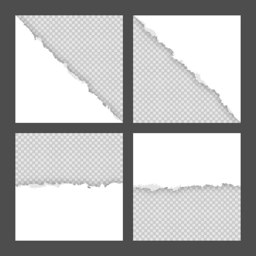 Blank white ripped torn square paper sheets collection vector