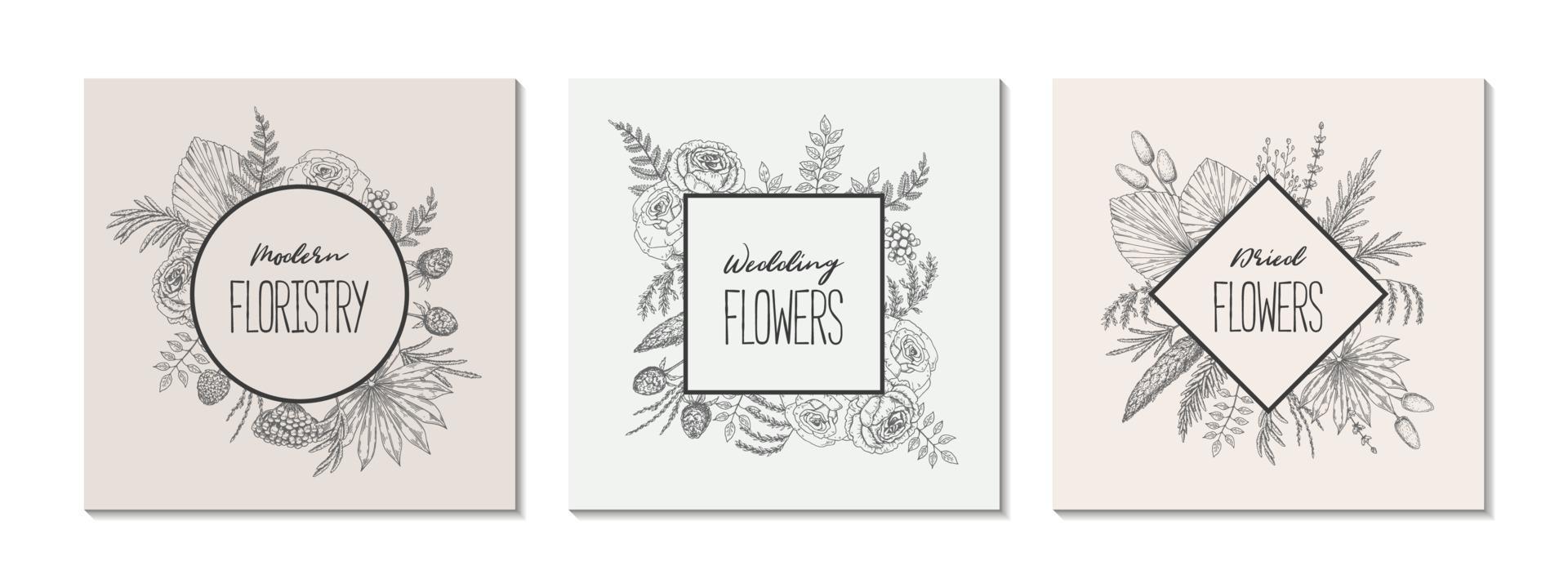 Set of hand drawn botany frames vector