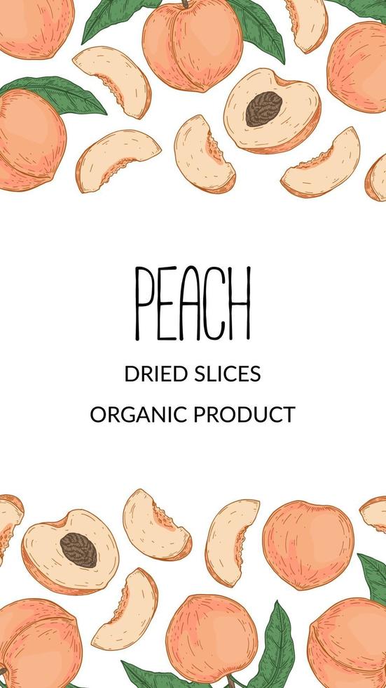 Hand drawn peach vertical design. Vector illustration in sketch style