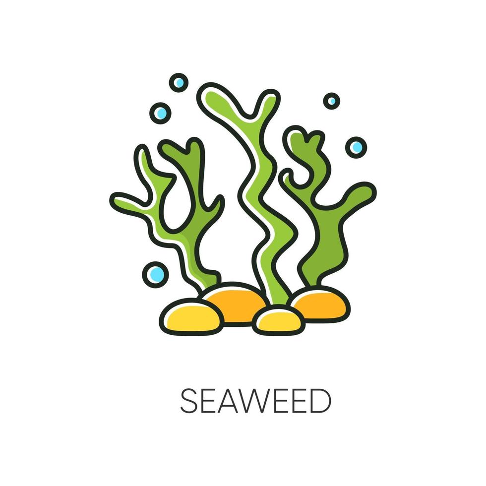 Seaweed RGB color icon vector