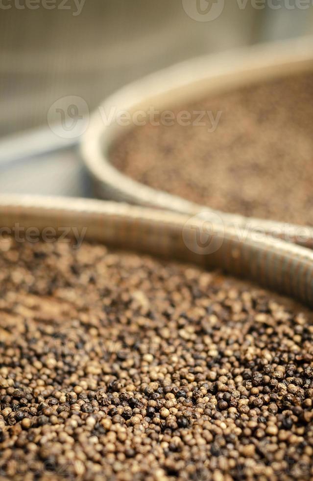 Detail of trays of Kampot organic pepper inside drying room in Cambodia photo
