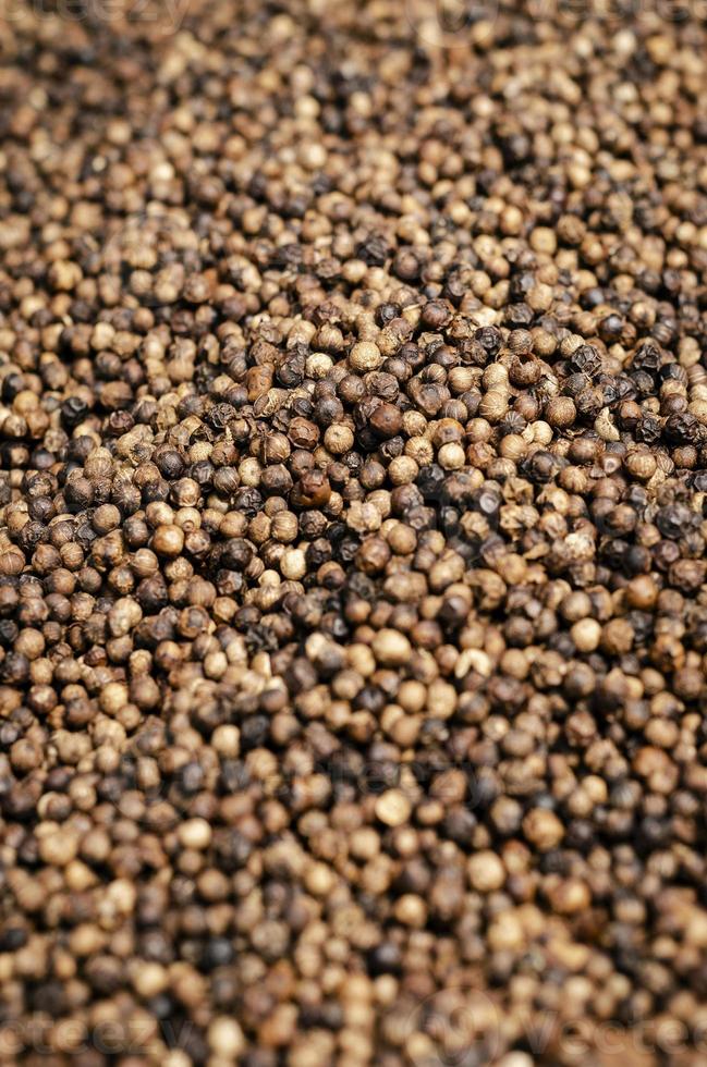 Close up of Kampot organic pepper peppercorns drying in the sun in Cambodia photo