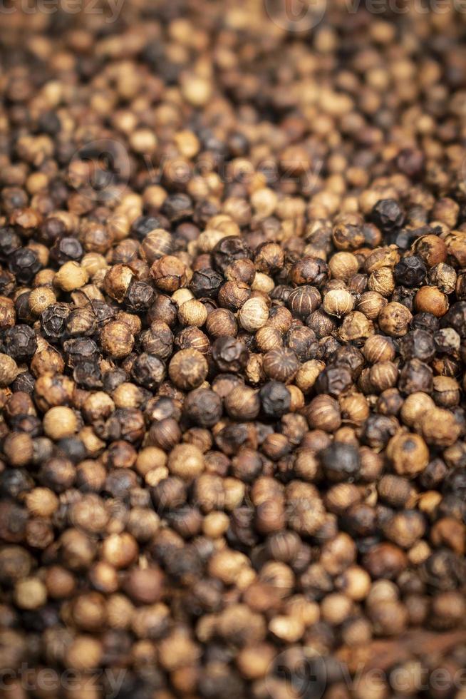 Close up of Kampot organic pepper peppercorns drying in the sun in Cambodia photo