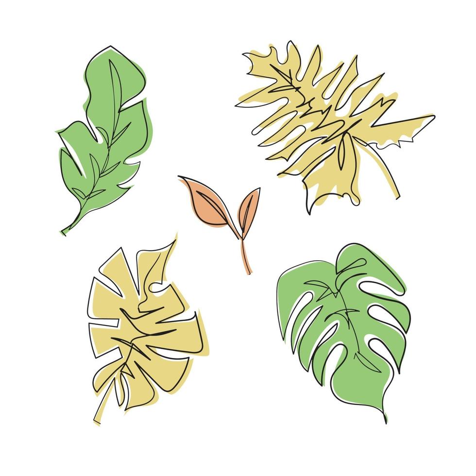 Set of monstera leaves in outline vector