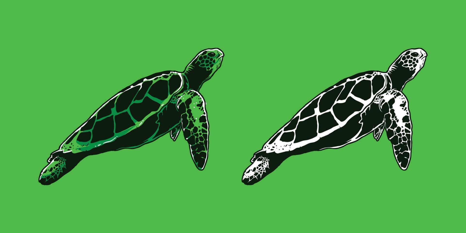 Hand-drawn green turtle vector illustration