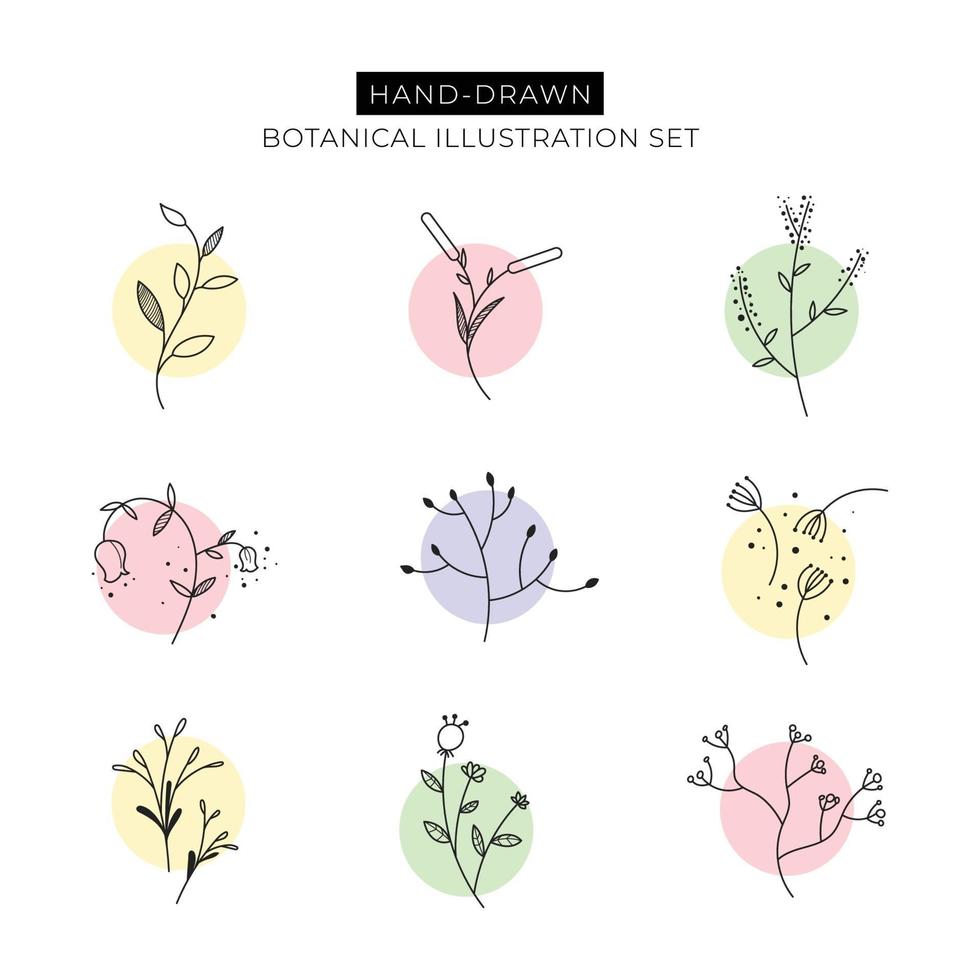 Hand drawn botanical elements with pastel color shades vector