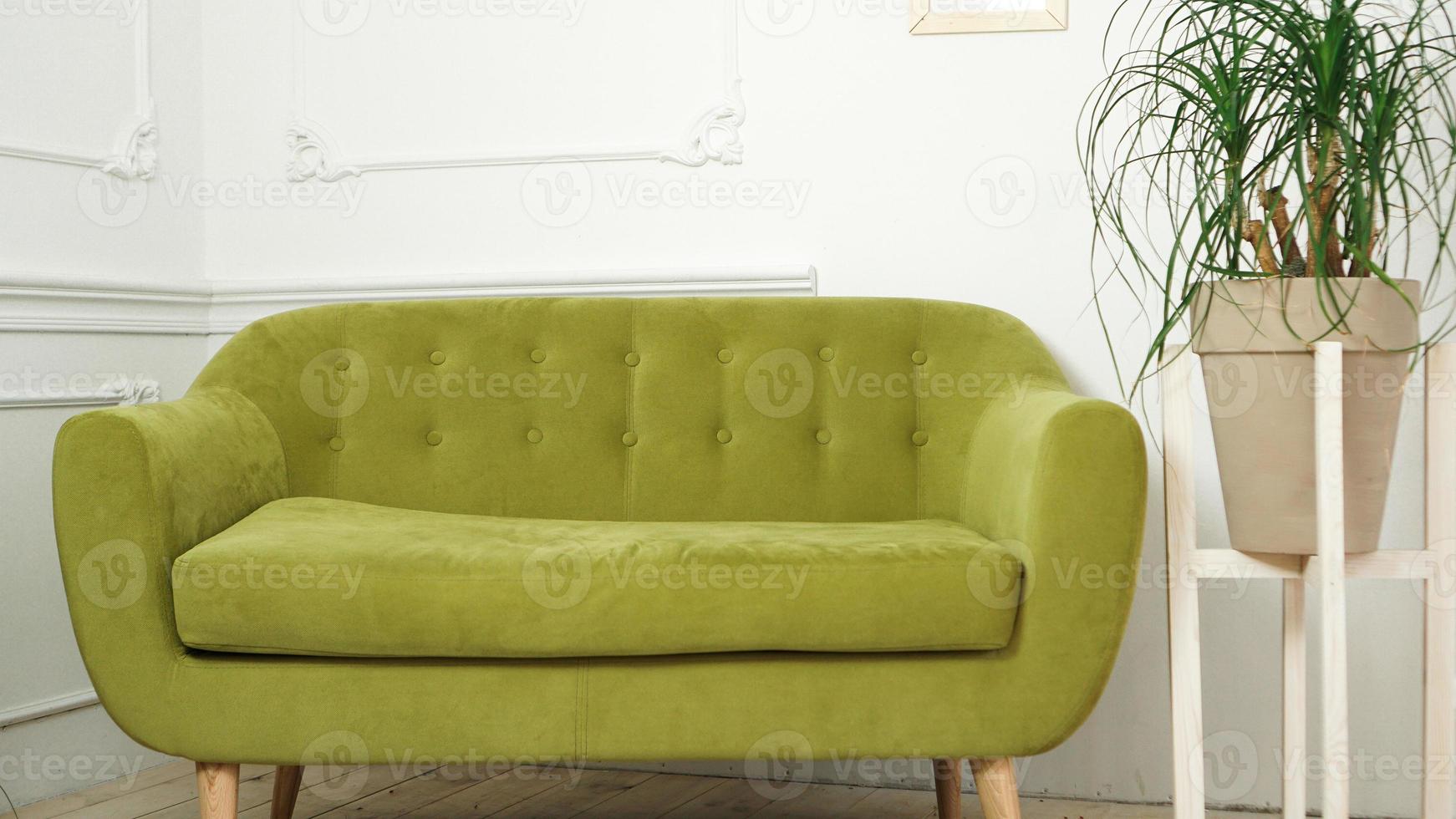 Home interior with new green sofa photo