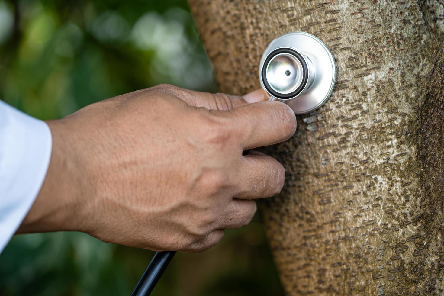 Comprobación de la naturaleza del árbol de escucha de la salud con estetoscopio foto