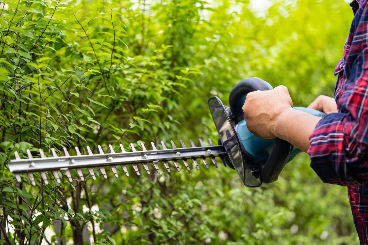 Gardener holding electric hedge trimmer to cut the treetop in garden. photo