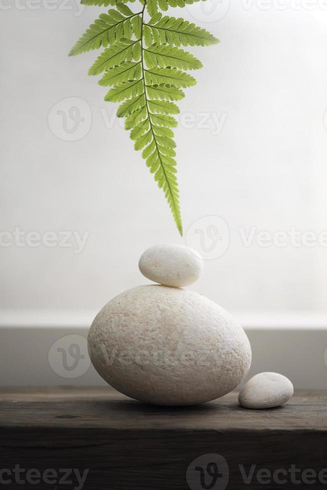 planta verde encima de tres guijarros de piedra blanca. foto